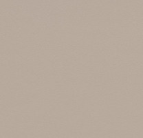 Линолеум Forbo Sarlon Colour 19dB 863T4319 beige grey uni фото 1 | FLOORDEALER